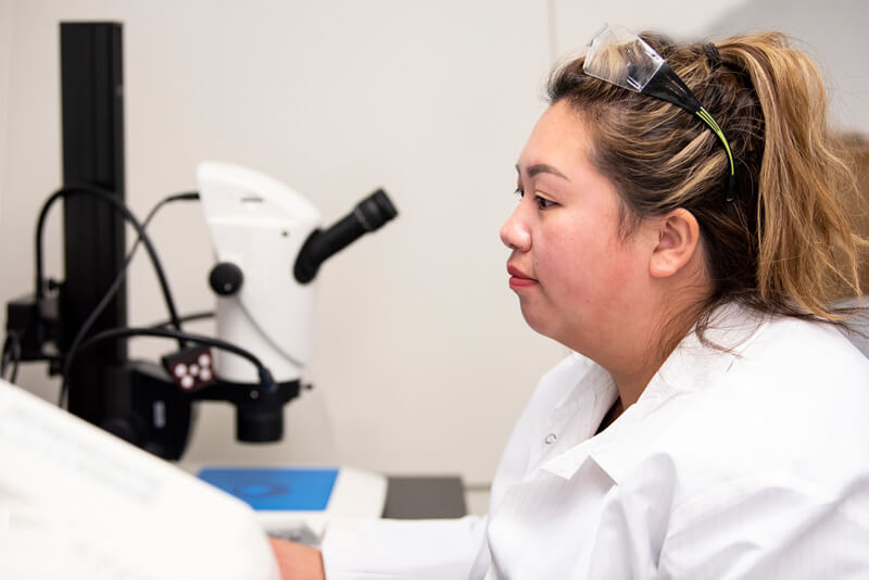 Female scientist observing samples through microscope